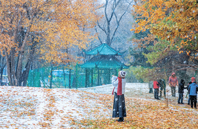 南方游客邂逅雪中浪漫 冰城市民赞叹“得劲儿”