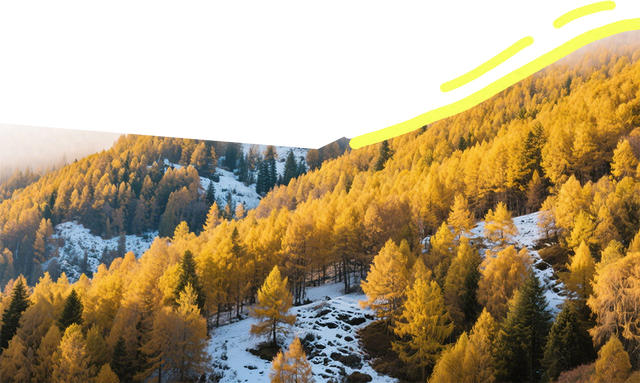 浙西天池关闭？别慌！吴越古道+桃花溪三尖徒步攻略来“救场”～