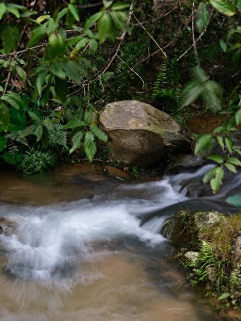 广州和从化交界处有个小镇，默默无闻，却藏着全国独一无二的景观