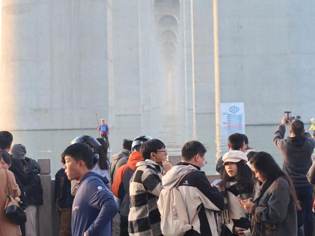 网红大桥下：三门峡的周末热度藏着新答案
