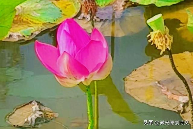 一路繁花，温暖时光。