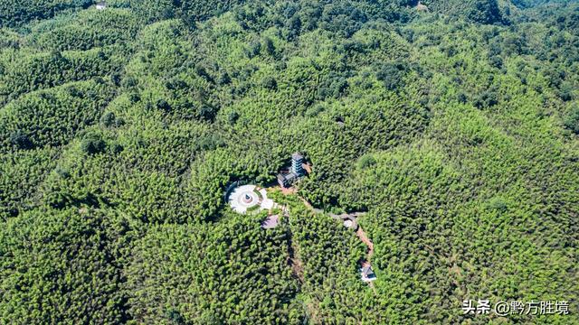 中国竹林面积最大的县在贵州，面积达123万亩，已是国家森林公园