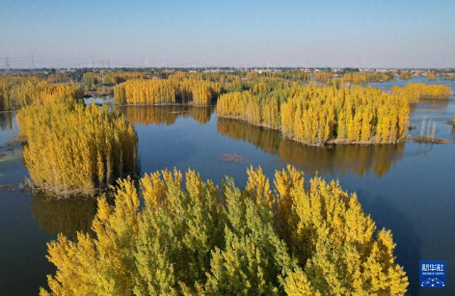 河北隆尧：初冬泜河风光秀美