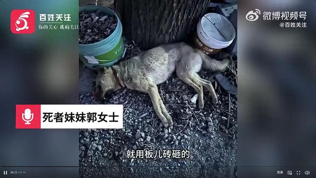 山西“狗咬人纠纷致一死三伤案”一审 被告人代理律师：正当防卫