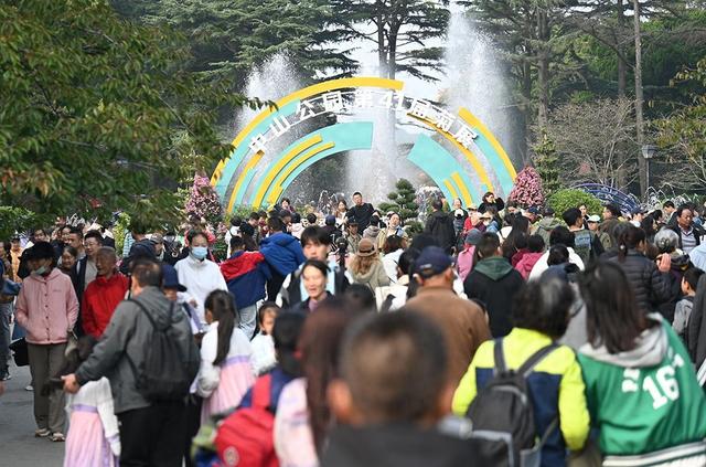 仪式感拉满 中山公园第41届菊展邀你共赴秋日之约