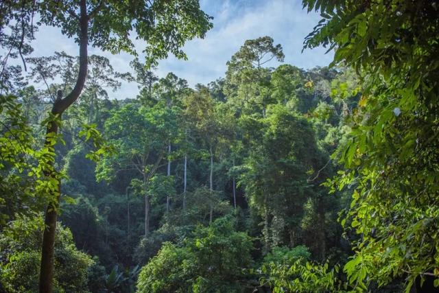 22日至23日西双版纳州庆放假2天,加上周末连休4天