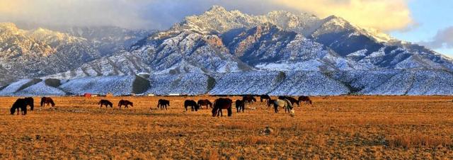 走进魅力北疆 遇见金色阿拉善