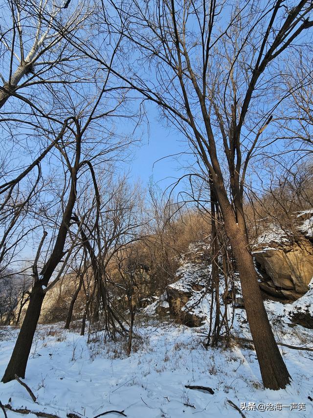 雪山雪地雪景，美树美影美景，蓝天如野美景如画，一切尽在不言中