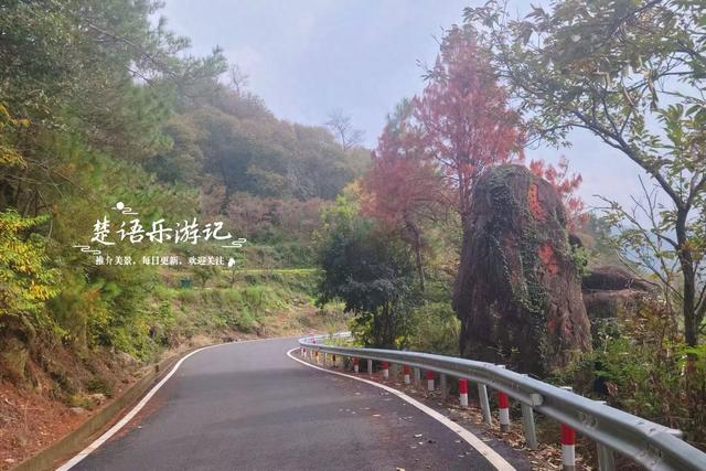 完全没想到，宁波这个以樱桃花走红的古村，秋天的风景也这么美！