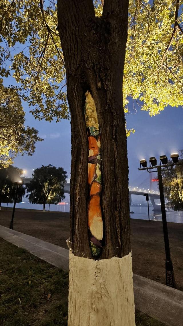 大武汉一日 | 武汉这处江滩，变萌了