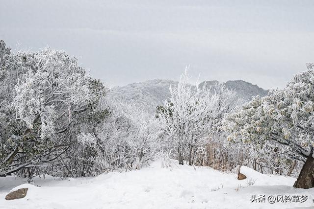 江浙沪集体“白了头”！暴雪刷屏朋友圈，交通停课+冰雪经济爆火