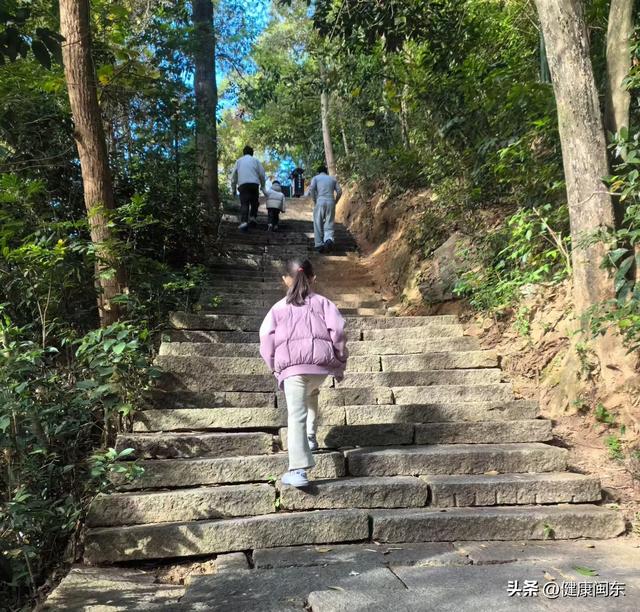 “医”起森呼吸 宁德市闽东医院职工登山活动活力全开