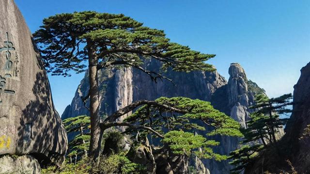 安徽发布11条精品入境旅游线路