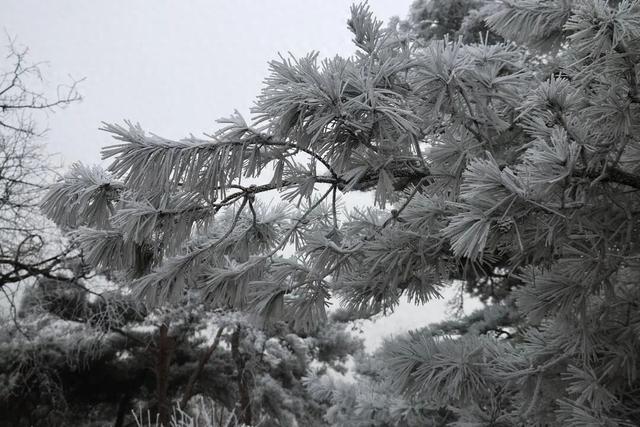 接下来的淄博，「冬日隐藏副本」藏不住了！