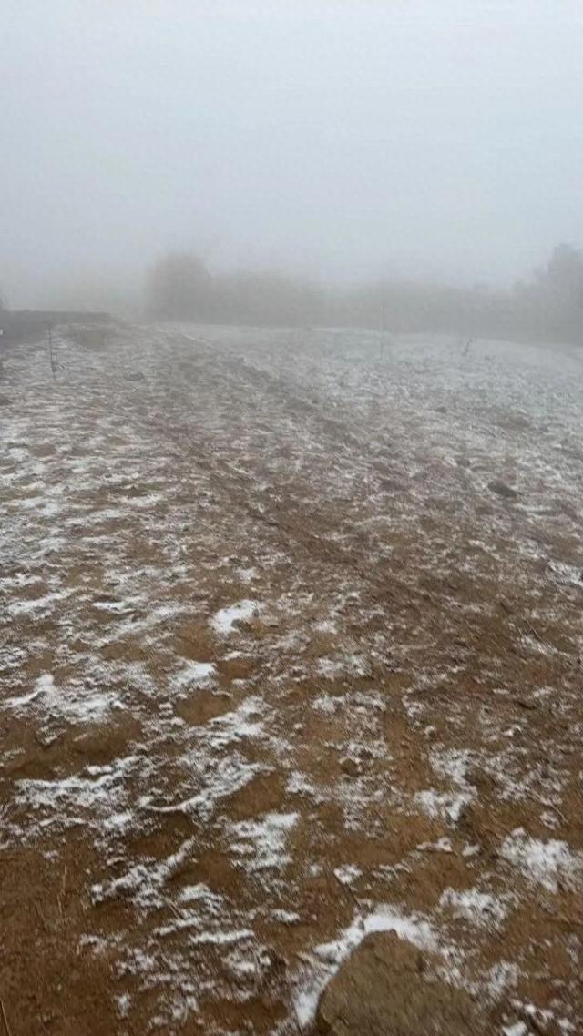 杭州太子尖迎来了今冬第一场初雪