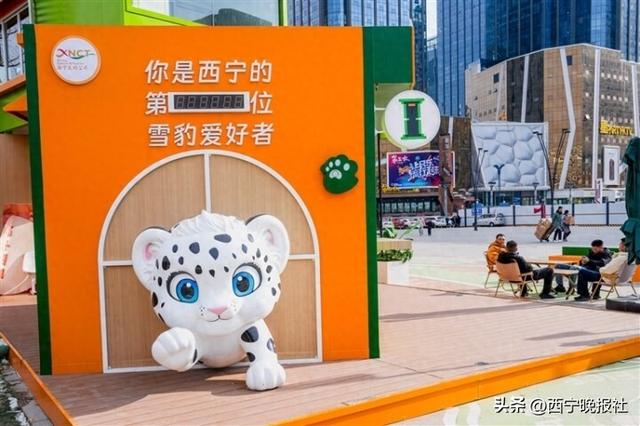 看这里、看这里，寻找西宁城市IP——“读西宁 看西宁”系列报道之一