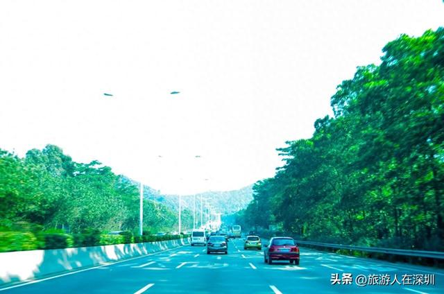 韶关南雄银杏之约，2天1晚赏秋游玩全攻略，体验独特的秋日故事