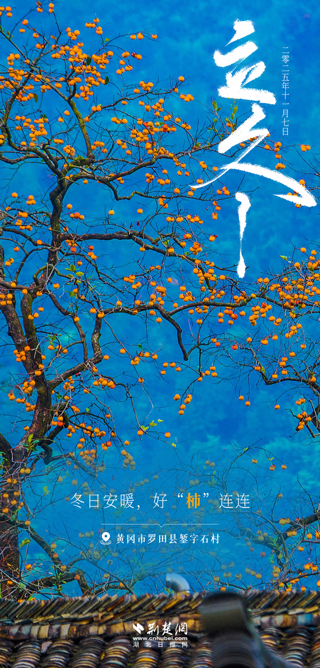 文化中国行 | 立冬：冬日安暖，好“柿”连连