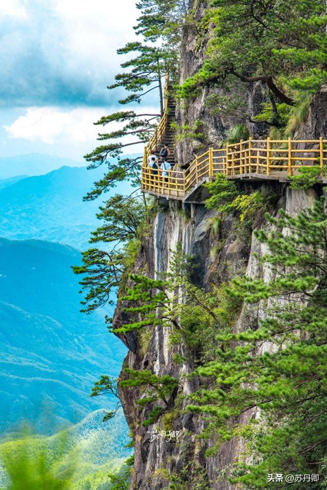 江西文旅为什么不宣传明月山？藏有世界罕见温泉，还有千年古银杏