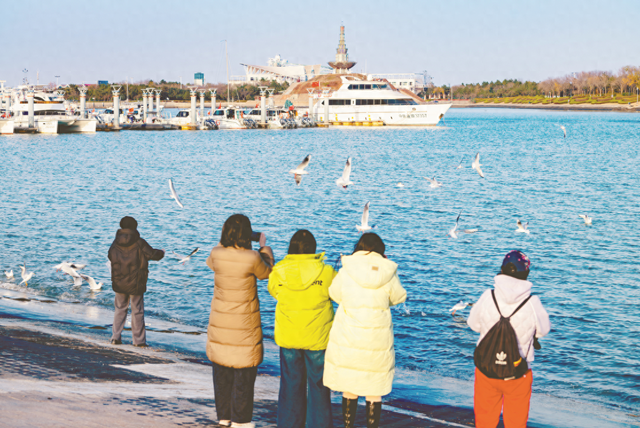 西伯利亚“白精灵”赴约日照