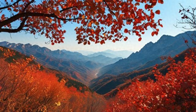 北京的封神红叶，藏在这五条私藏路线里！最后一个醉在深秋绝了！