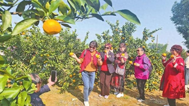 1500多名省内游客周末游益阳