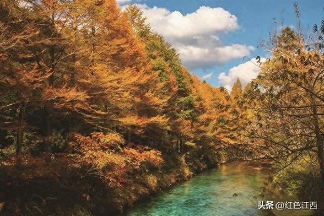 红燃翠岭绿铸魂 大茅山奏响千年交响