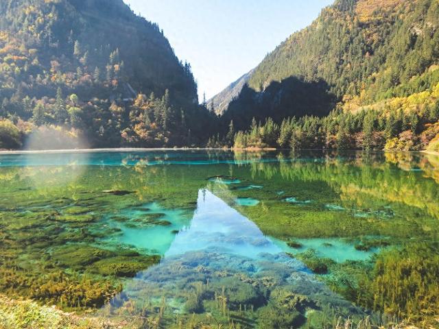 四川低调的赏秋胜地，秋色不输九寨沟，被称为"中国红叶第一山"
