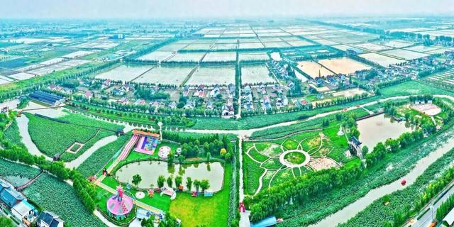 三省一市联合推荐！如皋这个村又要出圈了