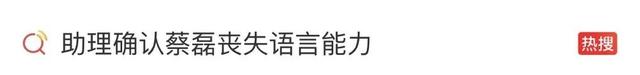 “已经完全没有语言能力了……”蔡磊深夜发文