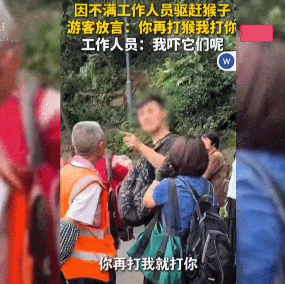 “你打猴我就打你”环卫工驱猴被游客怒斥，黔灵山公园工作人员