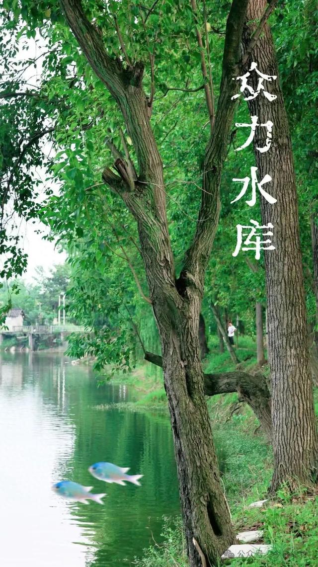 惊艳！绵竹这里竟藏着一个绝美水库，很多人都没去过......