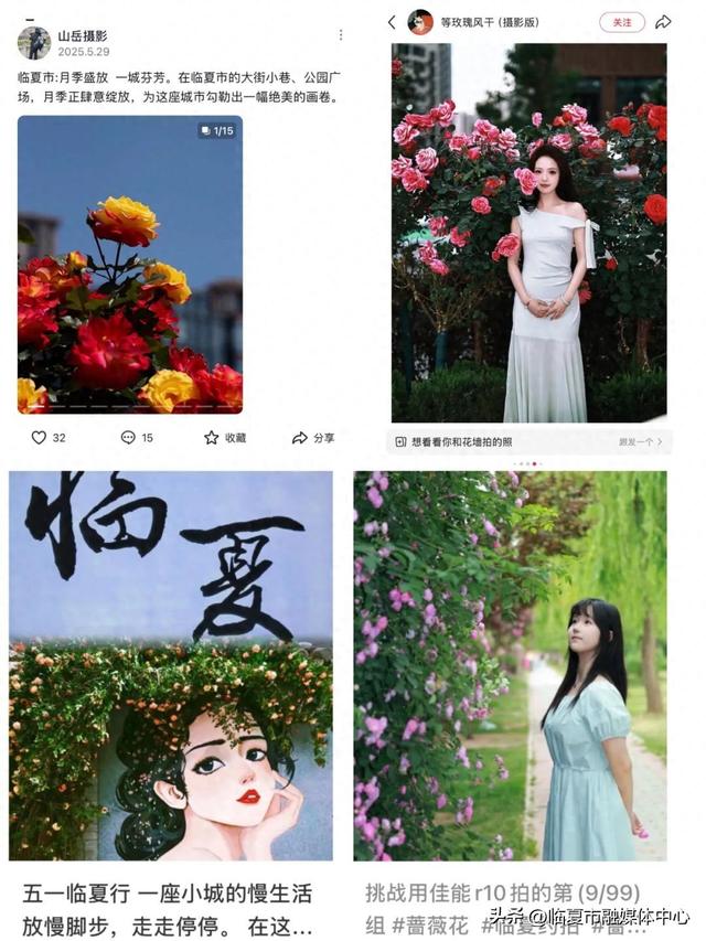 临夏市：一座把“浪漫”写进马路牙子的城市