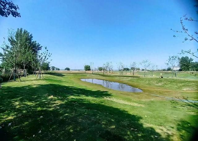 先“减”后“加”,后湖“界面”焕新!