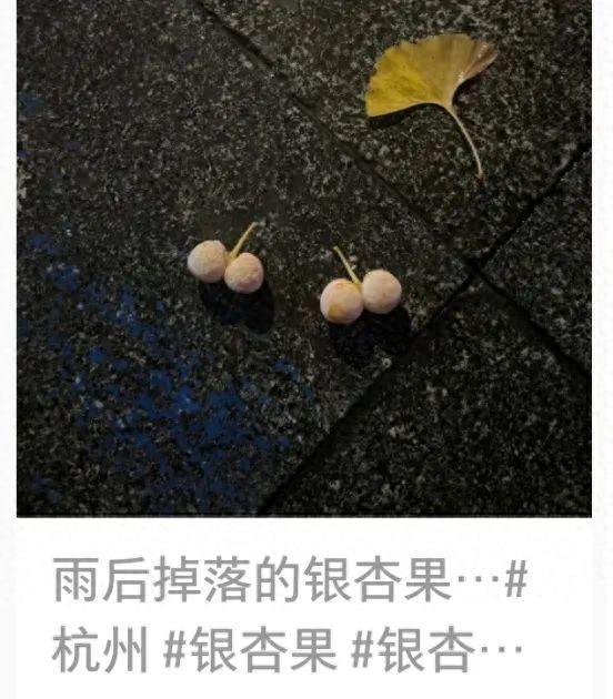 2025年10月10日 第16页