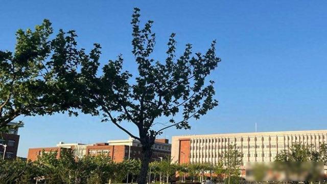 她没上春晚，却唱碎了草原风	，也唱醒了自己