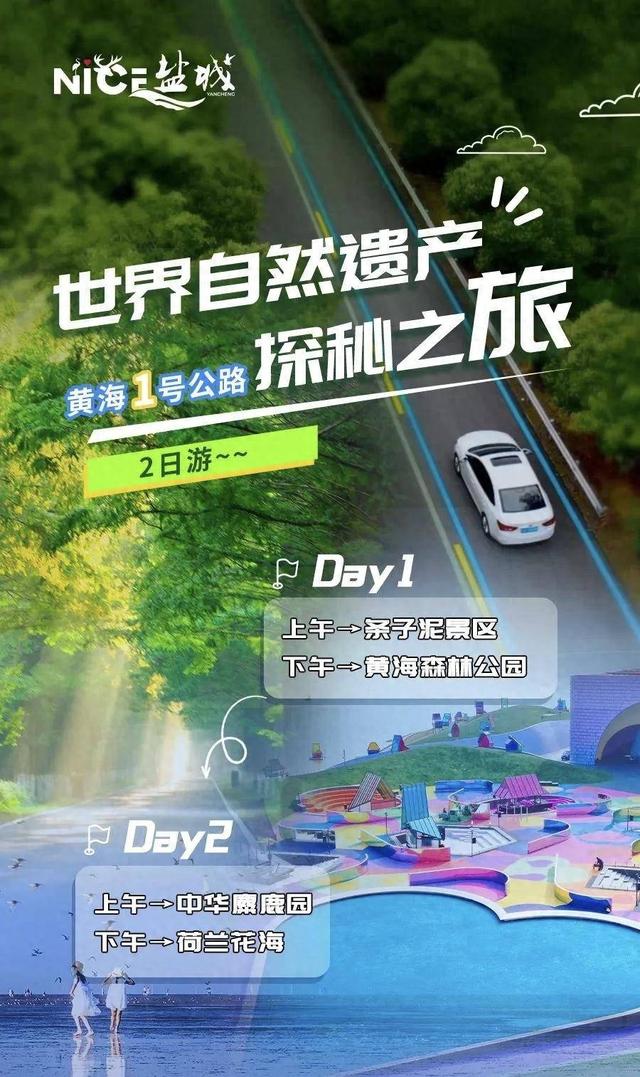 苏超场外遇见湿地天堂！盐城推出2天1夜苏超看球文旅线路