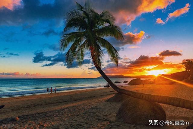 当代散文|筑梦天涯