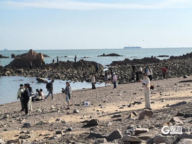 秋日晴好，青岛多个热门景点开启“游园模式”