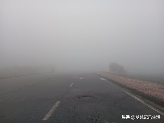 肉松的心思不难猜，低气压制造者每天都在源源不断地生产低气压