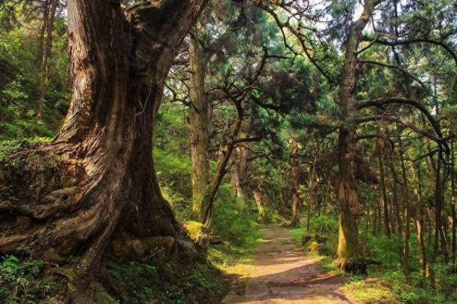 千年时光里的守望与传承