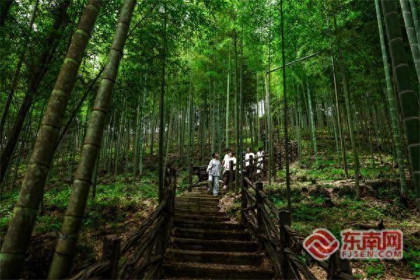 百竹园——三明宁化生态旅游新亮点