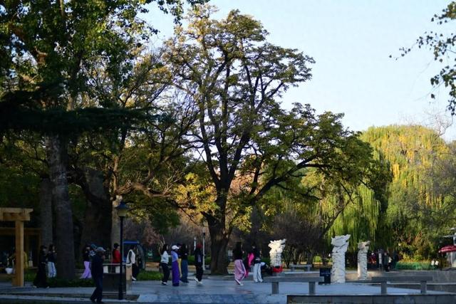 美翻了！邢台达活泉初冬限定“色彩盛宴”