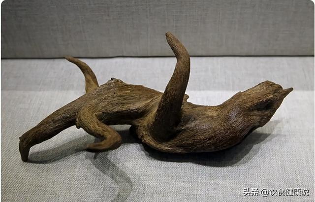 此物纯阳而升，气雄横行，被誉“通天彻地”，温胃散寒，温肾纳气