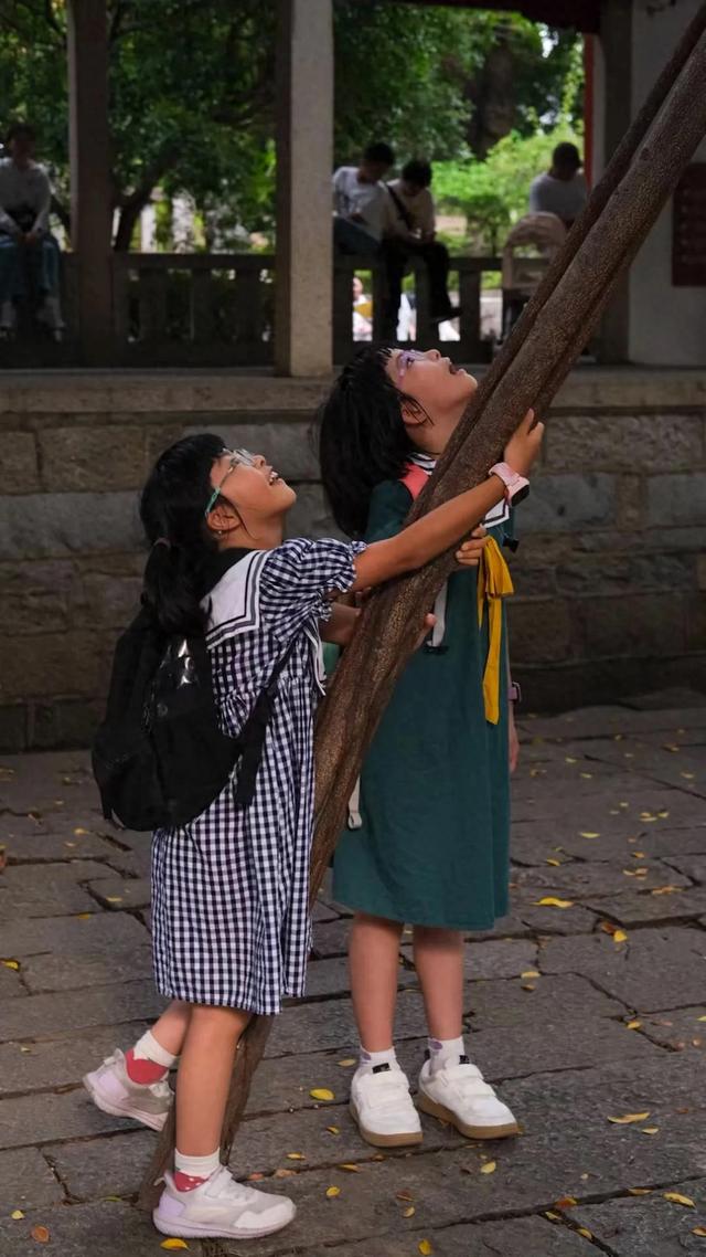橙子的泉州印象