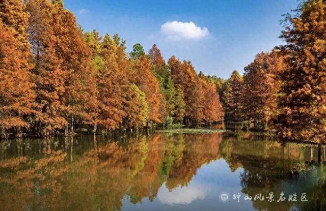 秋假拉动效应显著，北京、西安、南京等城市热度高