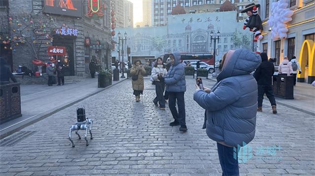 “显眼包”来了！中华巴洛克历史文化街区机器狗导览员试“上岗”