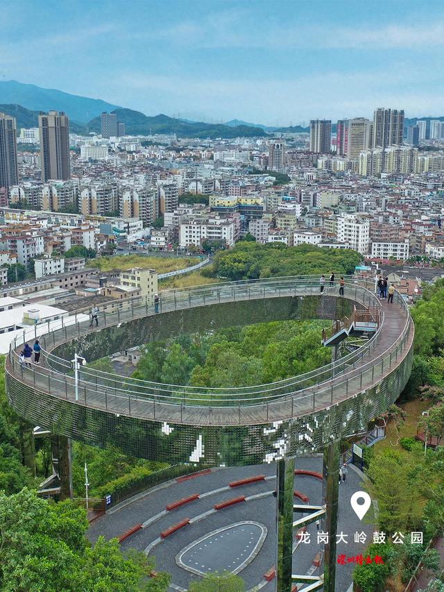 美丽深圳·每日一图｜2025年12月14日