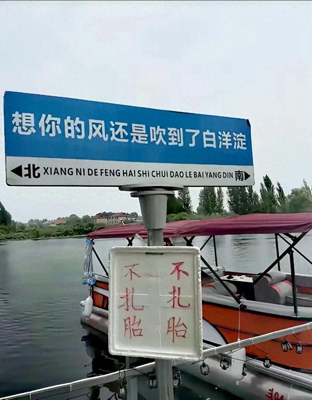 白洋淀有人家挂出“不扎胎”字样标牌，不知是不是搞笑还是噱头？