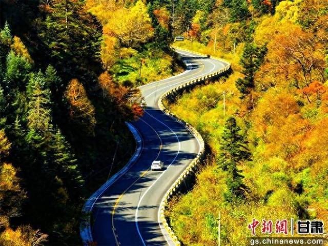 宕昌：古道红路 激活山水灵韵“文化脐带”